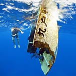 Tsunami Attracts Archaeological Interest